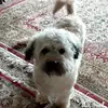 Heather Bays - @heather.bays8 - TikTok