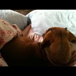 Heather Beals - @ladyheatherbug - Instagram