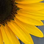 Heather Beckman - @heather.beckman.507 - Instagram