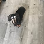 @__heatherbelle__ - Instagram