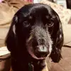 heatherbelle07 - @heatherbelle07 - TikTok