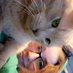 Heather Benavides - @farmingtractors17 - Instagram