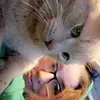 Heather Benavides - @heather.benavides1 - TikTok