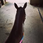 Heather  Berman - @charming_charlie_ott - Instagram