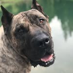 Heather Berman - @hrberman62 - Instagram