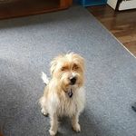 Heather Billings - @billings5497 - Instagram