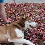 Heather Bills - @heather.baker.73744801 - Instagram
