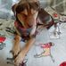 Heather Mary Buskey - Facebook