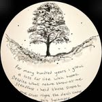 Heather Blades - @heatherblades_8 - Instagram