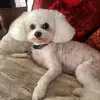 hmb - @heatherbleau2 - TikTok