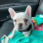 Heather Walker Bocook - @h.bocook - Instagram
