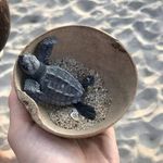 Heather Bode - @heather.bode.75 - Instagram