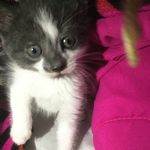 Heather Boisvert - @heatherfeather127 - Instagram