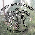 Heather Bonser Blaylock, Phd - @wind.dancer.ranch - Instagram