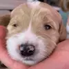 Heather Both - @heather.both - TikTok