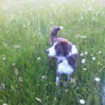 Heather Bothwell - @bothwell_heather - Instagram