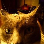 Heather Brackenrich - @brackenrichheather - Instagram
