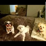Heather Brackett - @heather_brackett74 - Instagram