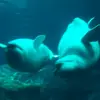 Heather Brackett - @heather.brackett - TikTok