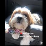 Heather Bragg - @braggpack - Instagram