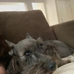Heather Brake - @lucky_shadow_girls - Instagram