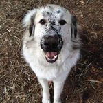 Heather Braker Daniel - @heather.braker.5 - Instagram