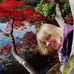 Heather Brigham - Facebook