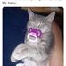 Heather Brill - Facebook