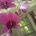 Heather Browne - @gal.goneglutenfree - Instagram