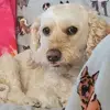 heatherbrubaker6 - @heatherbrubaker6 - TikTok