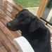 Heather Brush - Facebook