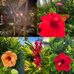 Heather Budd - Facebook