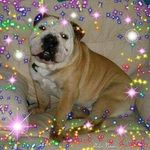 Heather Bundy - @squidgie76 - Instagram