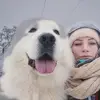 Heather Bundy - @themotherofdogs - TikTok