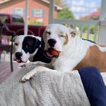 Heather Bundy - @1lovingkgirl - Instagram
