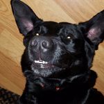 Heather Bundy-Klouser - @hankfu12 - Instagram