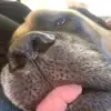 heatherburras - @heatherburras - TikTok