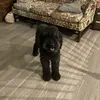heatherburchette - @heatherburchette - TikTok