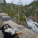 Heather Burden - @burdenheather - Instagram