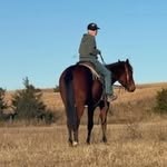 Heather Barnett Burnham - @heatherbarnettburnham - Instagram