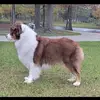 Heather Sillsbury - @heather.sillsbury - TikTok