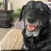 Heather Bushell - Facebook