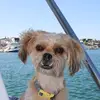 Heather Busse818 - @wiscosummers - TikTok
