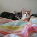 Heather Paul Buettner - Facebook