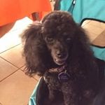 Heather Button - @button_heather - Instagram