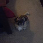 Austin Byars - @heatherbyars120 - Instagram