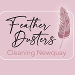 Heather Caesar-gordon - @feather.duster.clean - Instagram