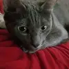 Heather Callahan - @heather.callahan3 - TikTok