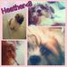 Heather Caraballo - Facebook