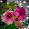 Heather Cardinal - @user298002103 - TikTok